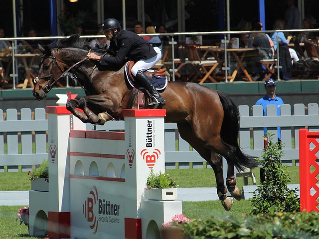 这一案例为 这一案例为